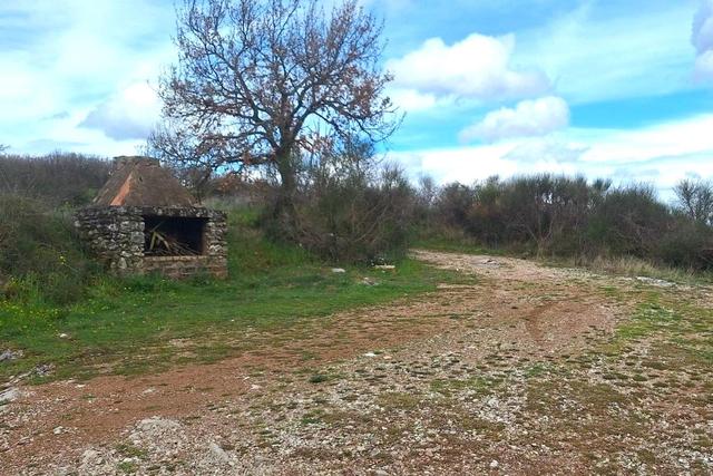 Agricoli in vendita
