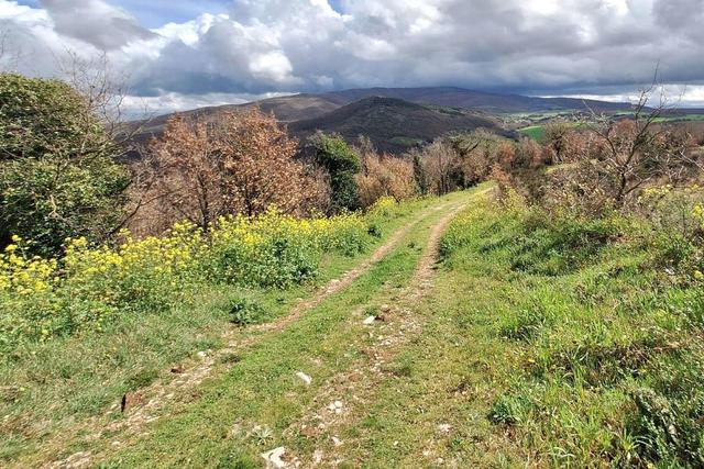 #25914 Terreno con ex cava dismessa di 6470 mq in vendita - foto 8