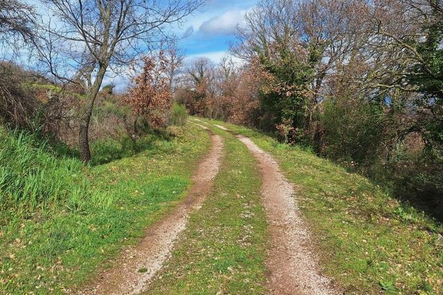 #25914 Terreno con ex cava dismessa di 6470 mq in vendita - foto 2
