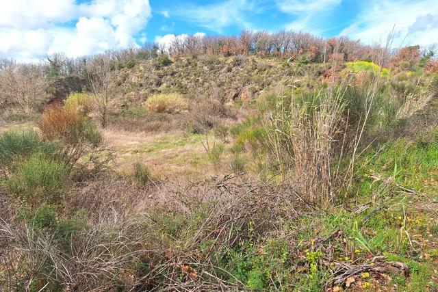 #25914 Terreno con ex cava dismessa di 6470 mq in vendita - foto 10