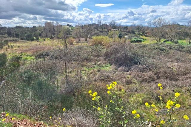 #25914 Terreno con ex cava dismessa di 6470 mq in vendita - foto 9