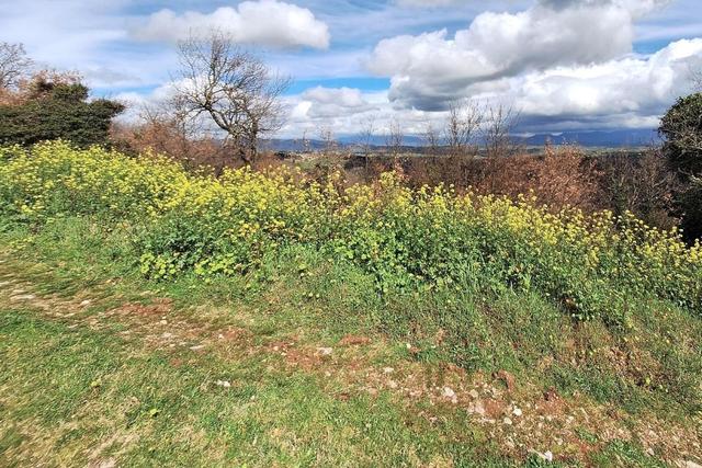 #25914 Terreno con ex cava dismessa di 6470 mq in vendita - foto 6