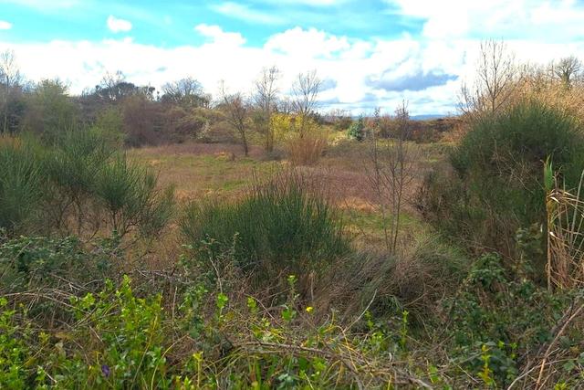 #25914 Terreno con ex cava dismessa di 6470 mq in vendita - foto 5