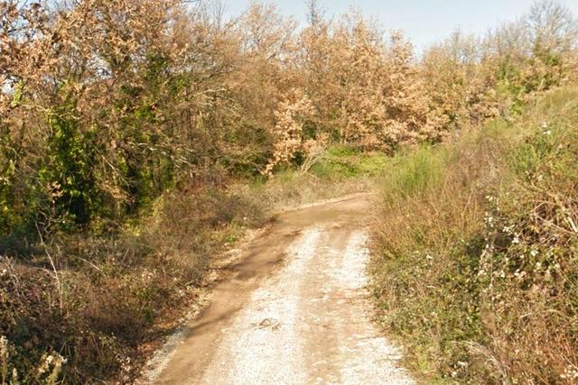 #25914 Terreno con ex cava dismessa di 6470 mq in vendita - foto 4