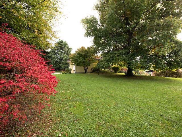 Ville in vendita