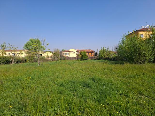photogallery 3