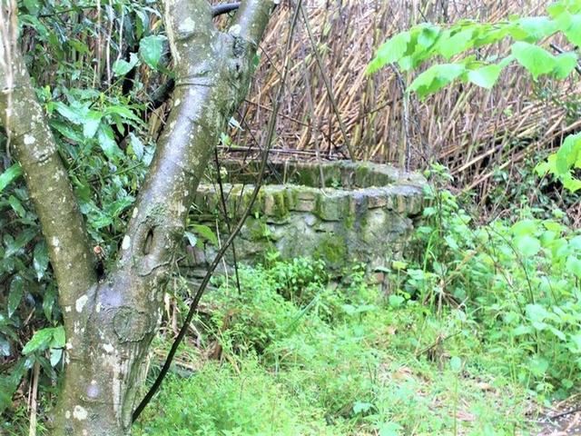 Rustici e casali in vendita