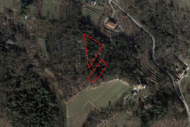 #2638787 Terreni agricoli per 3.130 mq in vendita - foto 2