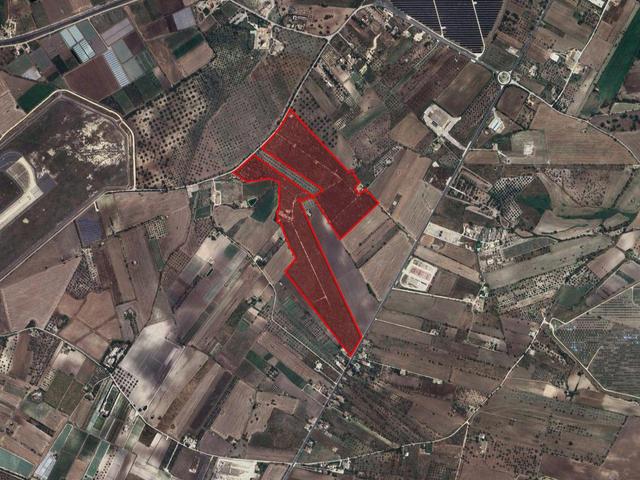 Agricoli in vendita