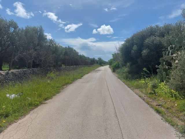 Agricoli in vendita