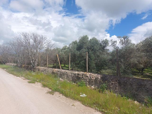 Agricoli in vendita