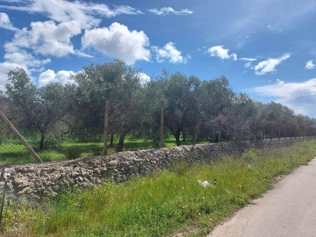 Agricoli in vendita