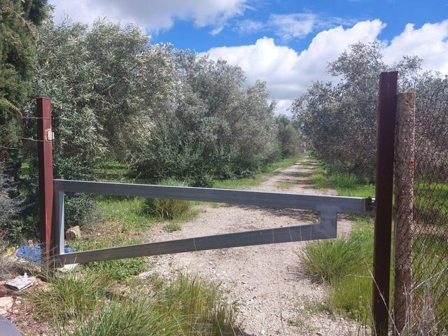 Agricoli in vendita