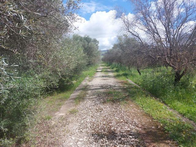 Agricoli in vendita