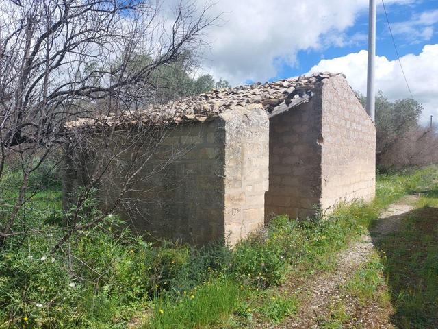 Agricoli in vendita