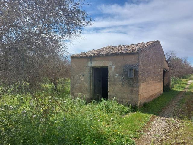 Agricoli in vendita