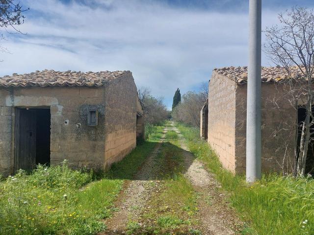 Agricoli in vendita