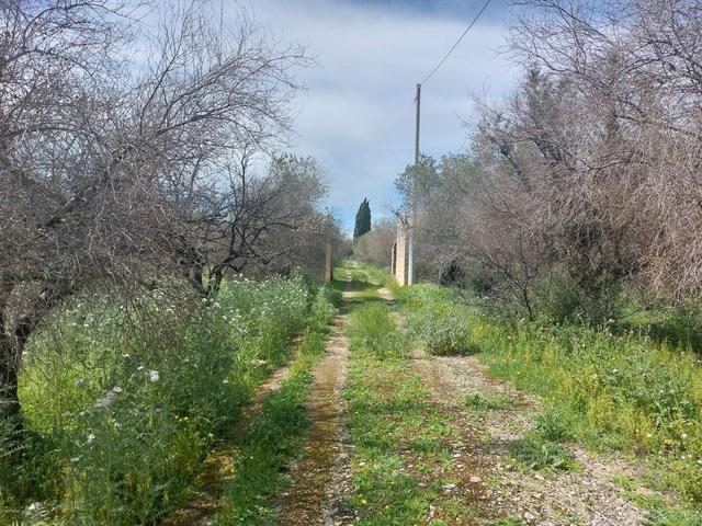 Agricoli in vendita