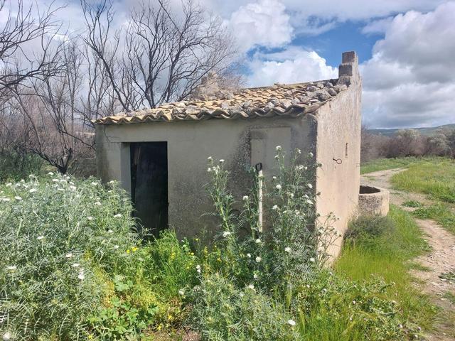 Agricoli in vendita