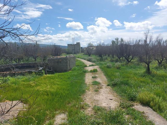 Agricoli in vendita