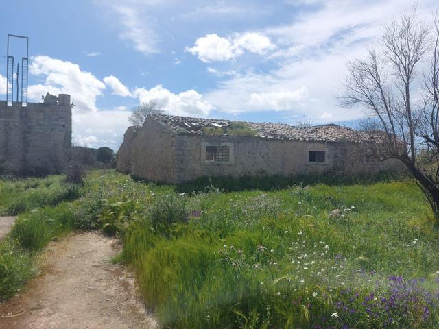 Agricoli in vendita