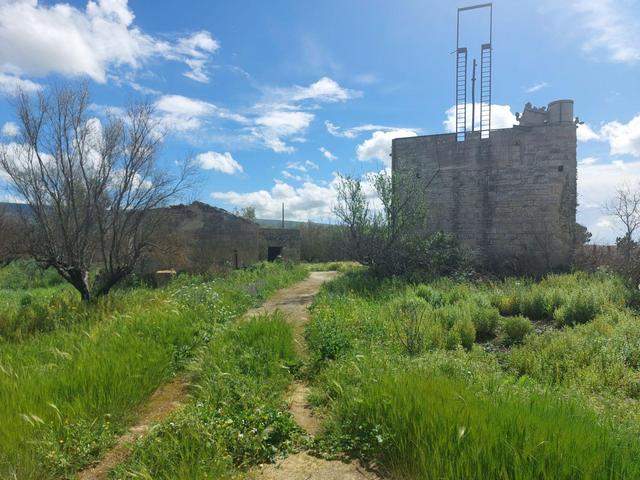 Agricoli in vendita