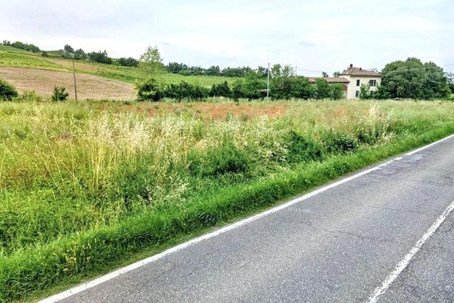 #2536640 Terreno agricolo vicino comparto artigianale in vendita - foto 3