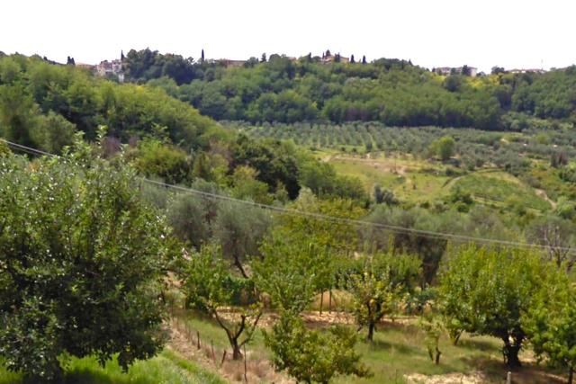 Agricoli in vendita