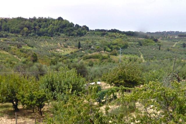Agricoli in vendita