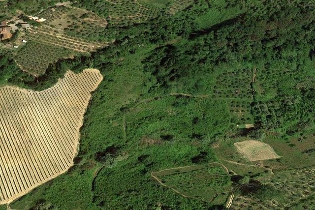 Agricoli in vendita