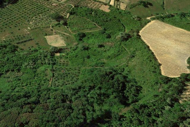 Agricoli in vendita