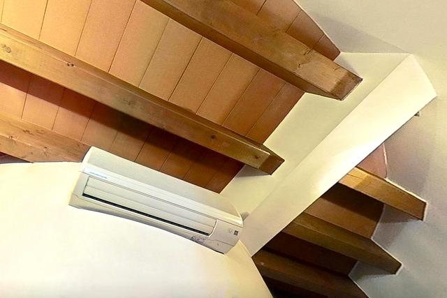 Grandi dimensioni in vendita