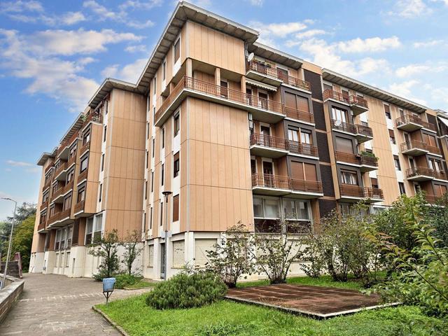 Grandi dimensioni in vendita