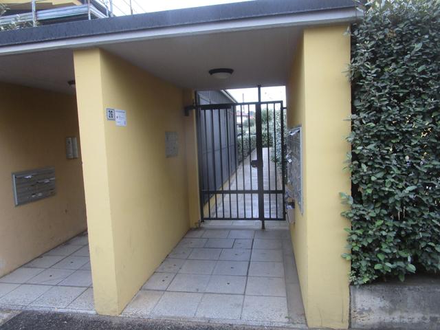 Grandi dimensioni in vendita