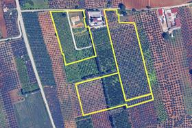 Agricoli in vendita