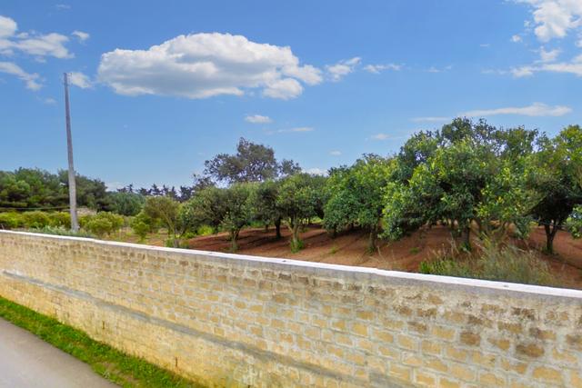 Agricoli in vendita
