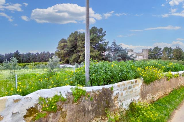 Agricoli in vendita