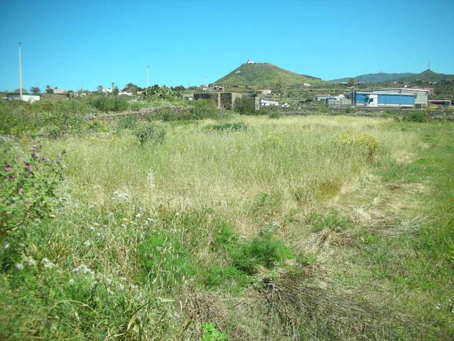 Magazzini in vendita