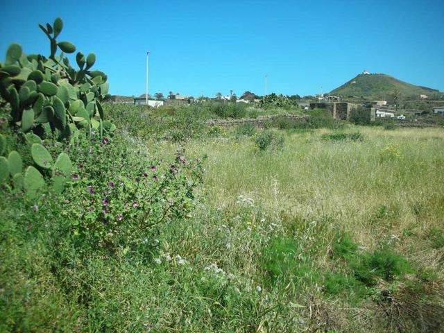Magazzini in vendita