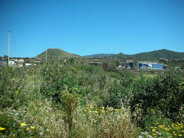 Magazzini in vendita