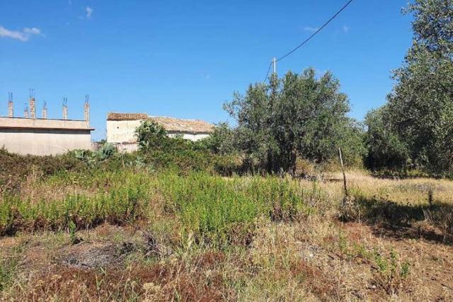 Agricoli in vendita