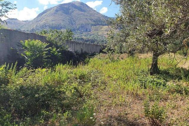 Agricoli in vendita