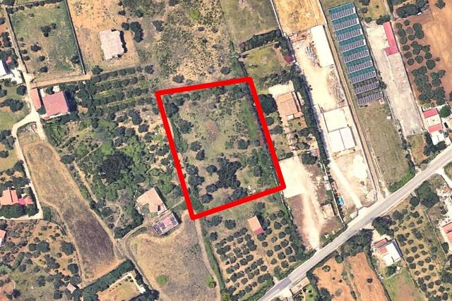 #20948 Appezzamento di terreno agricolo alberato in vendita - foto 15