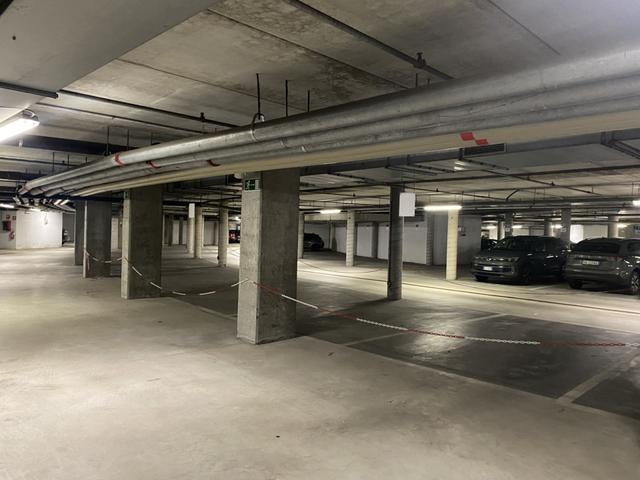 Grandi dimensioni in vendita