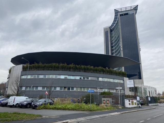 Grandi dimensioni in vendita