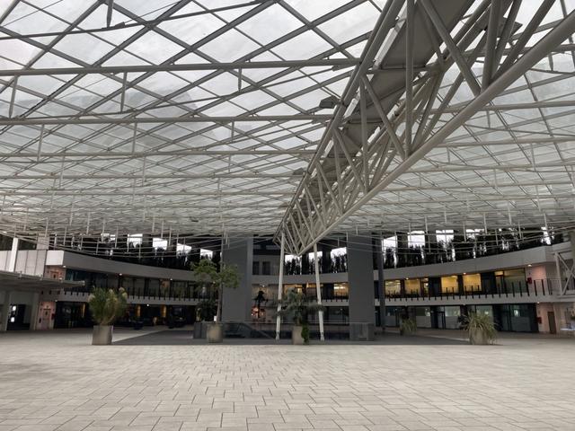 Grandi dimensioni in vendita