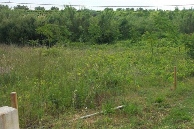 #4833 Terreno per attrezzature e impianti sportivi in vendita - foto 7