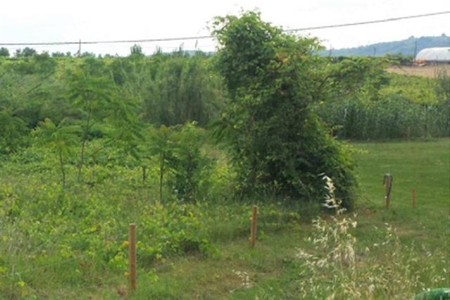 #4833 Terreno per attrezzature e impianti sportivi in vendita - foto 6