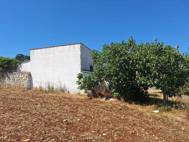 Rustici e casali in vendita