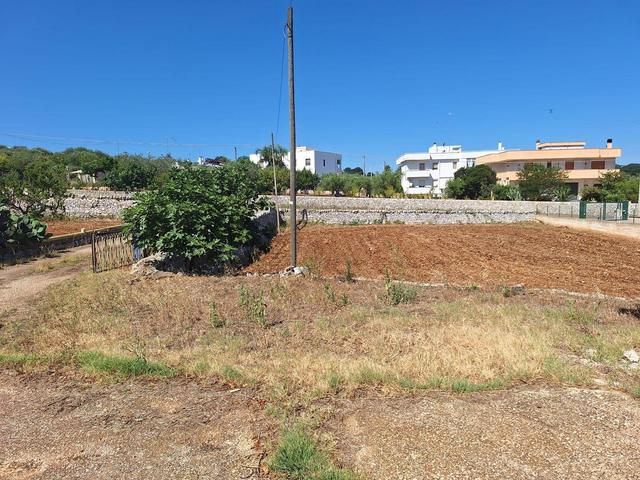 Rustici e casali in vendita